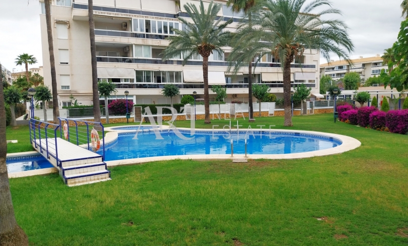 Resale - Apartment - Albir