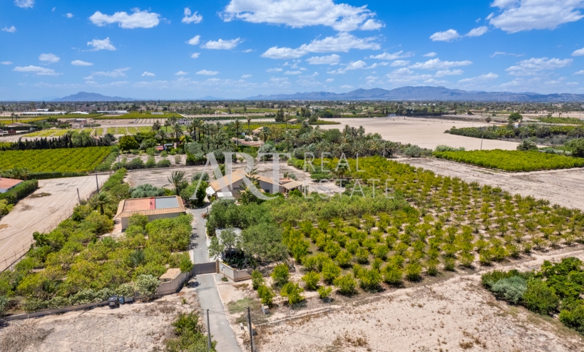 Resale - Country estate - Elche/Elx