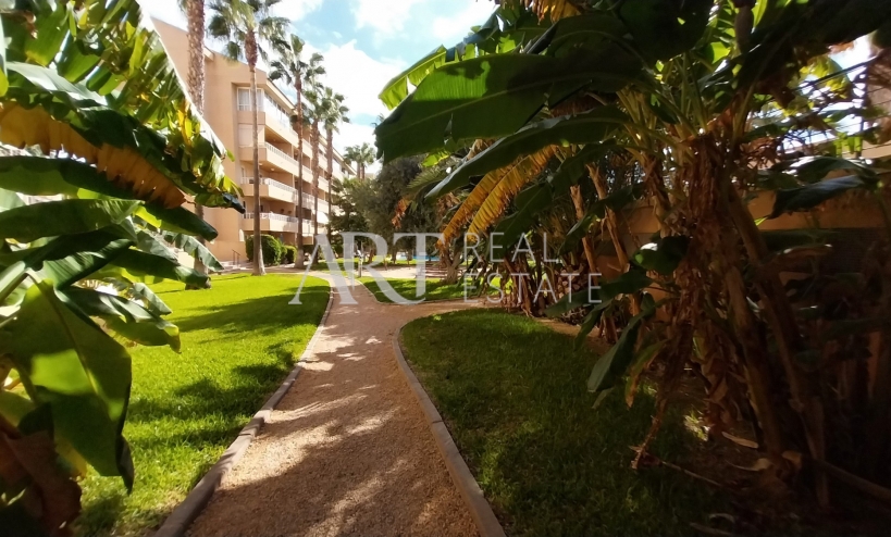 Reventa - Apartamento / piso - Albir