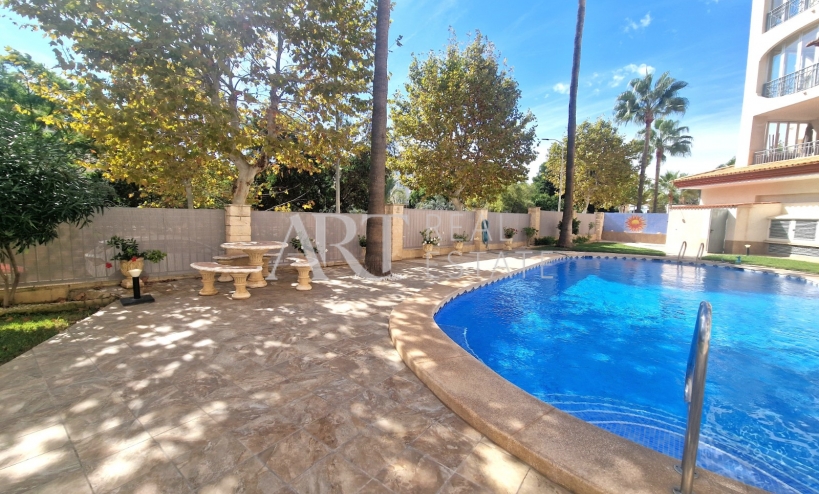 Reventa - Apartamento / piso - Albir