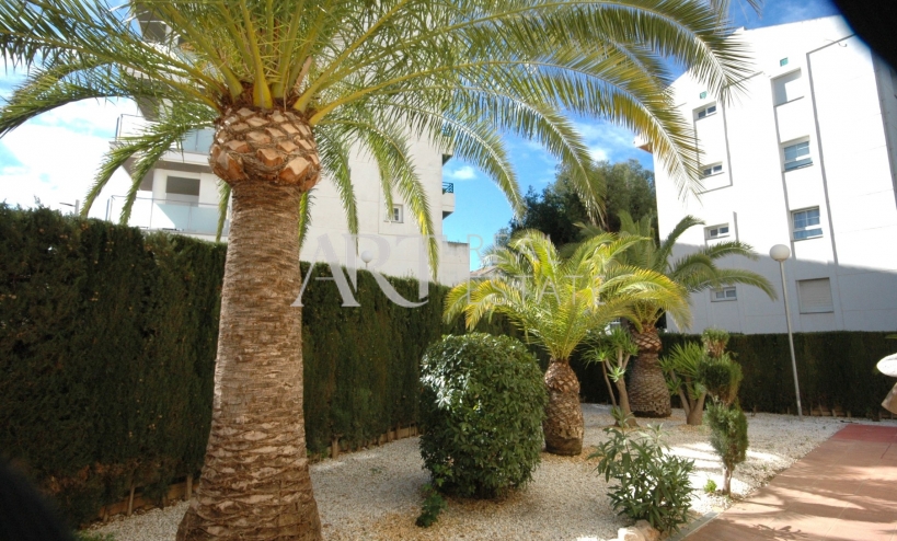 Reventa - Apartamento / piso - Albir
